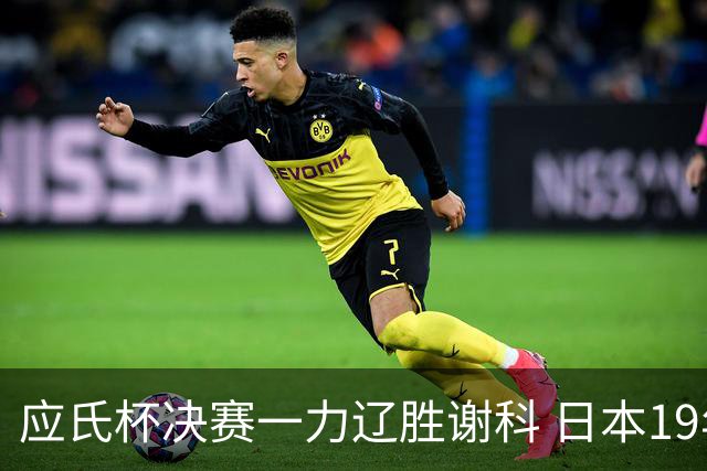 应氏杯决赛一力辽胜谢科 日本19年后重夺世冠